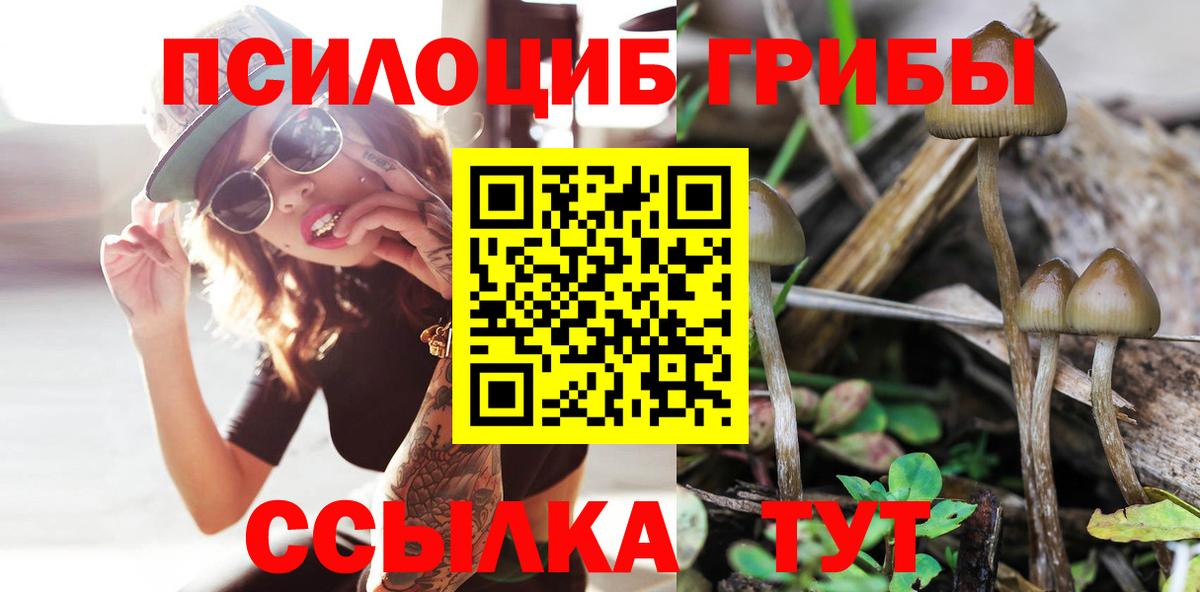 Псилоцибиновые грибы ЛСД Саянск